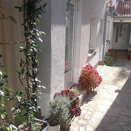 Apartmán Terra *