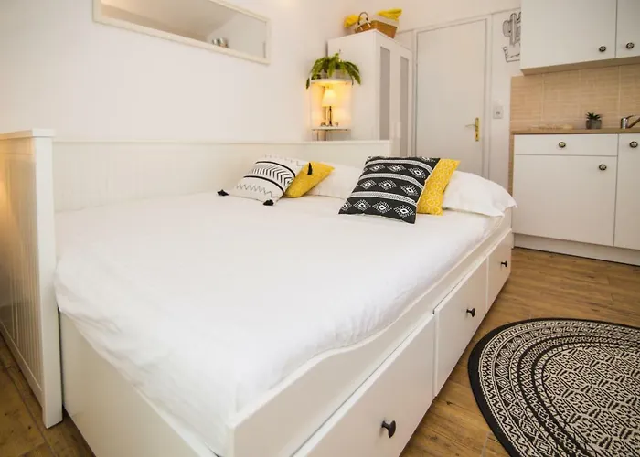 Terra ビオグラード・ナ・モル